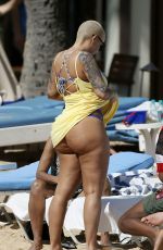 AMBER ROSE in Bikini at a Beach in Honolulu 01/31/2017