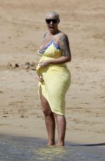 AMBER ROSE in Bikini at a Beach in Honolulu 01/31/2017