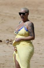 AMBER ROSE in Bikini at a Beach in Honolulu 01/31/2017