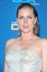 AMY ADAMS at 69th Annual Directors Guild of America Awards in Beverly Hills 02/04/2017