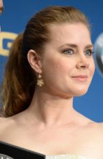 AMY ADAMS at 69th Annual Directors Guild of America Awards in Beverly Hills 02/04/2017