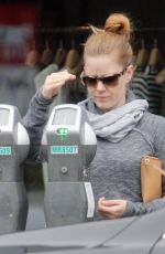 AMY ADAMS Shoping for Groceries in Los Angeles 02/07/2017