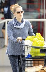 AMY ADAMS Shoping for Groceries in Los Angeles 02/07/2017