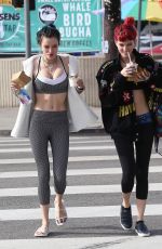 BELLA and DANI THORNE Out in Los Angeles 02/01/2017