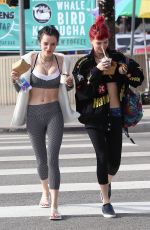 BELLA and DANI THORNE Out in Los Angeles 02/01/2017