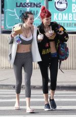 BELLA and DANI THORNE Out in Los Angeles 02/01/2017