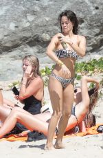 BROOKE BURKE in Bikini at a Beach in St. Barts 02/15/2017