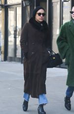CHLOE SEVIGNY Out in New York 02/15/2017
