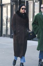 CHLOE SEVIGNY Out in New York 02/15/2017