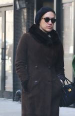 CHLOE SEVIGNY Out in New York 02/15/2017