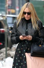 CHLOE SEVIGNY Out Shopping in New York 02/11/2017
