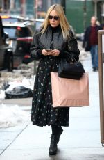 CHLOE SEVIGNY Out Shopping in New York 02/11/2017