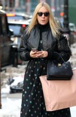 CHLOE SEVIGNY Out Shopping in New York 02/11/2017