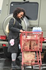 CHRISTINA MILIAN Out for Shopping in Los Angeles 02/06/2017