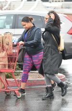 CHRISTINA MILIAN Out for Shopping in Los Angeles 02/06/2017
