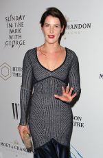 COBIE SMULDERS at 