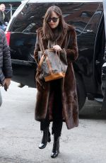 DAKOTA JOHNSON Arrives Back to Her Hotel in New York 02/01/2017