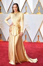 DAKOTA JOHNSON at 89th Annual Academy Awards in Hollywood 02/26/2017