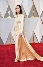 DAKOTA JOHNSON at 89th Annual Academy Awards in Hollywood 02/26/2017