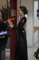 DAKOTA JOHNSON at Airport in Hamburg 02/07/2017