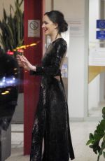 DAKOTA JOHNSON at Airport in Hamburg 02/07/2017