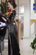 DAKOTA JOHNSON at Airport in Hamburg 02/07/2017