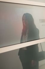 DAKOTA JOHNSON at Gagosian Gallery Opening in Los Angeles 02/23/2017