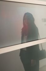 DAKOTA JOHNSON at Gagosian Gallery Opening in Los Angeles 02/23/2017