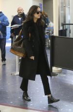 DAKOTA JOHNSON at LAX Airport in Los Angeles 01/02/2017