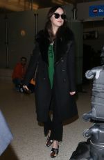 DAKOTA JOHNSON at Los Angeles International Airport 02/10/2017