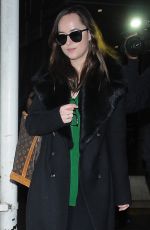 DAKOTA JOHNSON at Los Angeles International Airport 02/10/2017