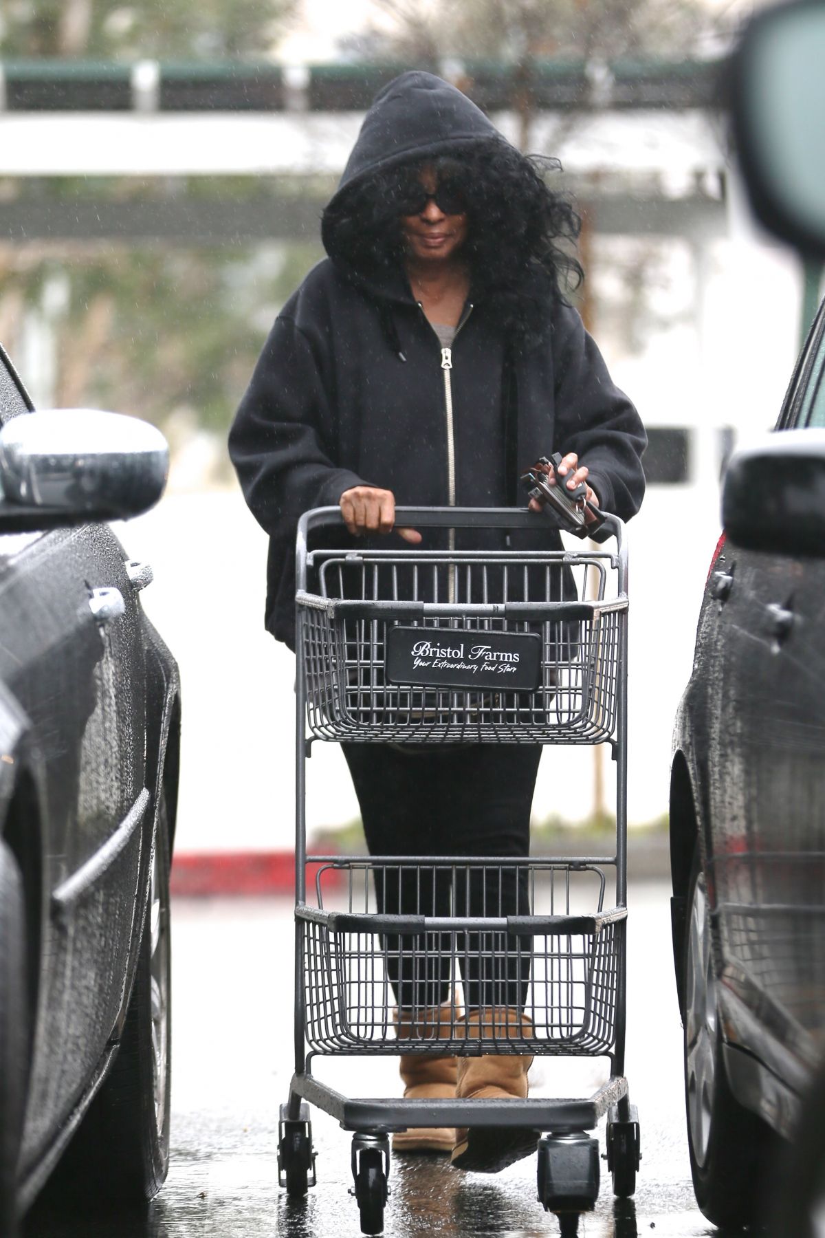 DIANA ROSS Shopping at Bristol Farms in Beverly Hills 02/03/2017