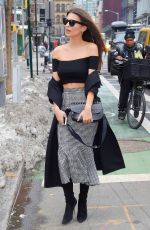 EMILY RATAJKOWSKI Out and About in New York 02/15/2017