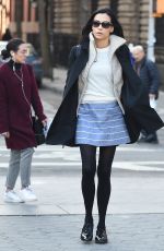 FAMKE JANSSEN in Short Skirt Out in New York 02/02/2017