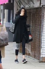 FAMKE JANSSEN Out and About in New York 01/31/2017