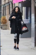 FAMKE JANSSEN Out and About in New York 01/31/2017