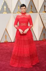 GINNIFER GOODWIN at 89th Annual Academy Awards in Hollywood 02/26/2017