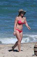 HILARY DUFF in Bikini on the Beach in Mexico 02/04/2017