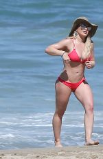 HILARY DUFF in Bikini on the Beach in Mexico 02/04/2017