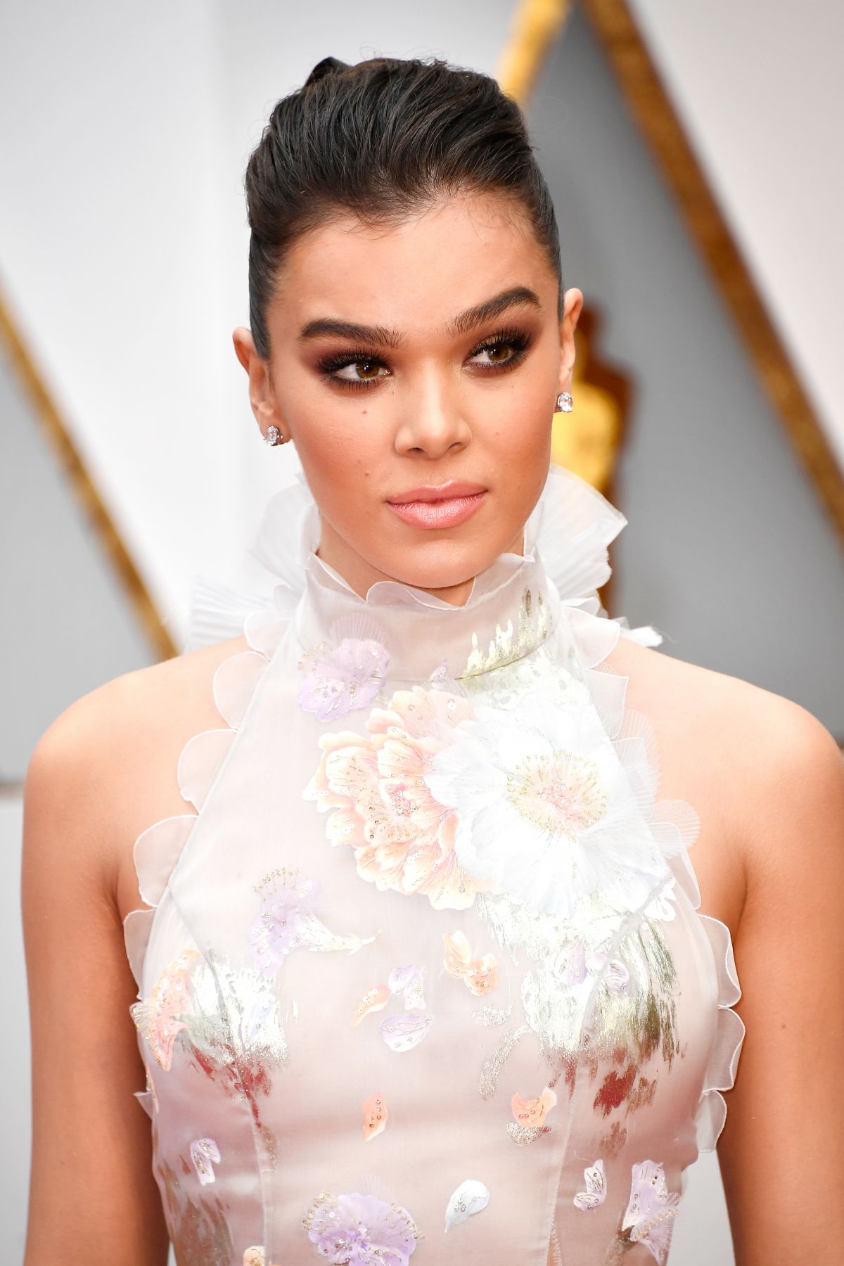 HAILEE STEINFELD at 89th Annual Academy Awards in Hollywood 02/26/2017 ...