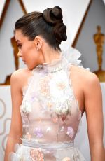 HAILEE STEINFELD at 89th Annual Academy Awards in Hollywood 02/26/2017