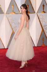 FELICITY JONES at 89th Annual Academy Awards in Hollywood 02/26/2017