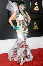 JACQUELINE VAN BIERK at 59th Annual Grammy Awards in Los Angeles 02/12/2017