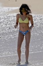 JENNA DEWAN in Bikini on the Beach in Hawaii 02/14/2017