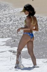 JENNA DEWAN in Bikini on the Beach in Hawaii 02/14/2017