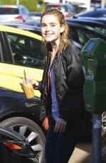 KIERNAN SHIPKA Out in Los Angeles 01/31/2017