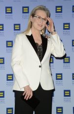 MERYL STREEP at 2017 Human Rights Campaign Greater New York Gala 02/11/2017