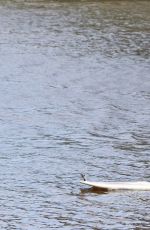 PAIGE VANZANT Paddle Boarding in Hawaii 02/19/2017