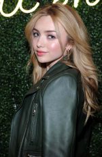 PEYTON ROI LIST at All Woman Campaign at Aerie Spring Street Pop Up Shop in New York 02/06/2017