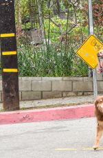 Pregnant AMANDA SEYFRIED Walks Her Dog Out in Los Angeles 02/21/2017